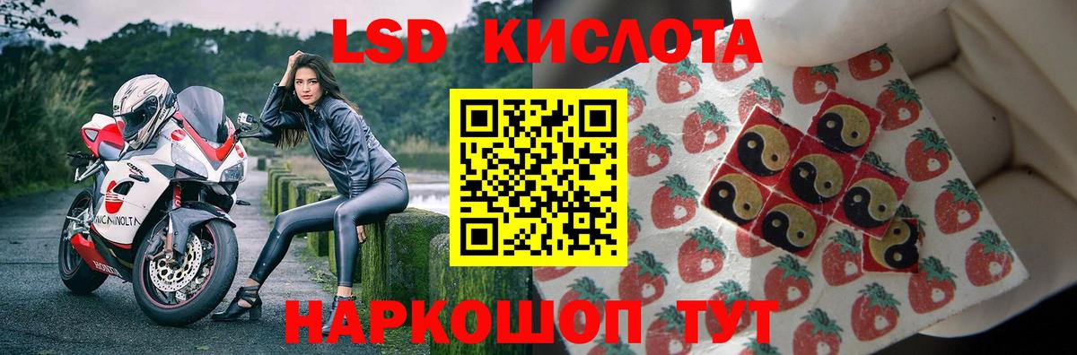 LSD-25 экстази кислота Лесной