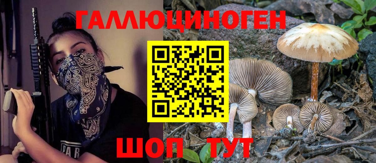 Лесной  Псилоцибиновые грибы Psilocybe  Псилоцибиновые грибы MAGIC MUSHROOMS  Вход с VPN 