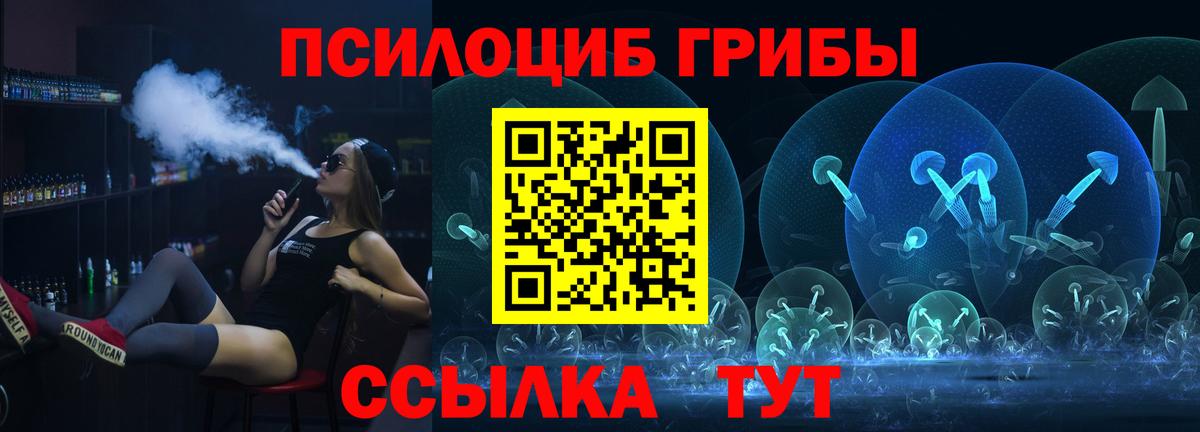Галлюциногенные грибы Psilocybe Лесной